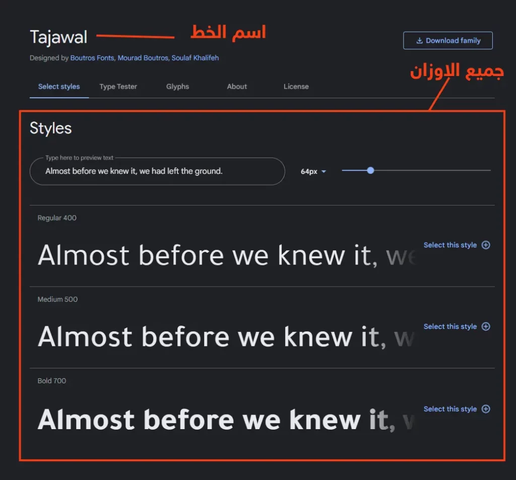 إضافة خط مخصص لكل لغة مختلفة إلى موقع ووردبريس 1 خط